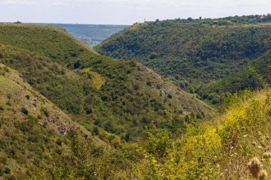 Doğu Avrupa 'nın dağlık doğası. Metin veya yazıtlar için kopyalama alanı olan arkaplan