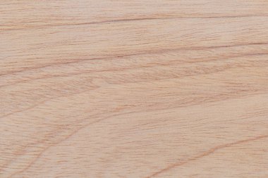 Afrika 'daki bir ağacın açık dokulu kesik yüzeyi. Ahşap zemin ya da tasarım için boş. Metin veya etiketler için bir grafik kaynağı ya da altında yatan.