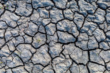 Su baskınından sonra kurumuş toprağın kaba dokusunu çatlatmış. Arkaplan