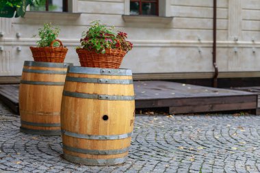 Şehrin kentsel ortamında çok güzel bir çiçek tarhı. Manzara tasarımında çiçekler ve yeşillik. Metin veya yazıtlar için kopyalama alanı olan arkaplan.