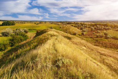 Doğu Avrupa 'nın dağlık doğası. Metin veya yazıtlar için kopyalama alanı olan arkaplan
