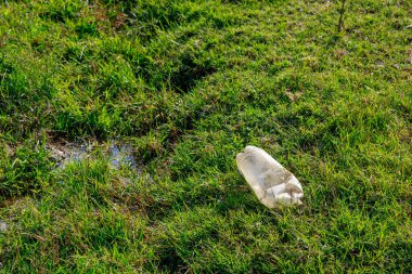 Şişeler doğada atılıyor. Plastik atıkla çevre kirliliği. Tehlikeli ve zehirli atık. Gezegenin ekolojik felaketi. İklim değişikliğinin nedenleri. Metin için kopyalama alanı olan arkaplan