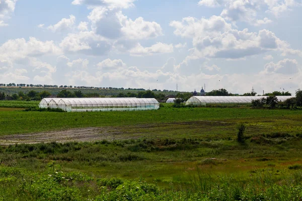 Landwirtschaftliche Gewächshäuser Für Den Anbau Von Obst Und Gemüse Begrünung — Stockfoto