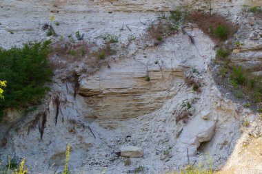 Vahşi doğada kireçtaşı. Doğal taşla kaplı güzel bir manzara. Antik Sarmatya Denizi 'nin dibinde.