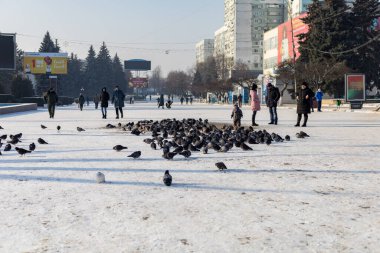 19 Ocak 2021 Balti veya Beltsy, Moldova 'nın soğuk kışı. İllüstrasyon Editörü