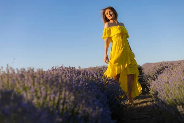 Sarı Elbiseli Güzel Güzel Genç Bir Kadın Gün Batımında Lavanta — Stok fotoğraf