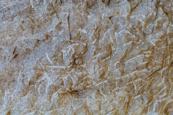 Rough Surface Natural Stone Textured Background Blank Design Underlay Undercoat — Stock Photo, Image