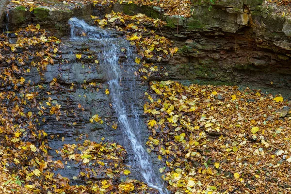 Pequena Cachoeira Riacho Montanha Desfiladeiro Outono Floresta Fundo Com Espaço — Fotografia de Stock