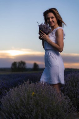 Beyaz elbiseli güzel ve güzel genç bir kadın gün batımında lavanta tarlasında yürüyüş yapmaktan hoşlanıyor. Bulanık arkaplan ile seçmeli odak.