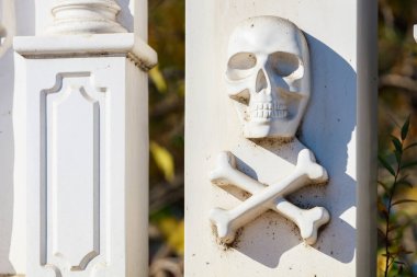 Sembolik bir kavram. Kafatası ve iki kemik. Metin veya harf için kopyalama alanı olan kavramsal sembol arkaplanı.