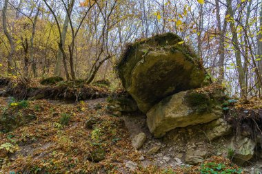 Sonbahar ormanlarının vahşi doğasında kayalarla kaplı dağ geçidi ya da kanyon. Metin veya harf için kopyalama alanı olan arkaplan
