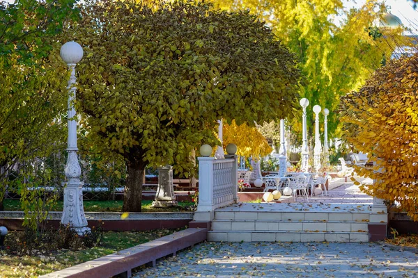 Parque Cidade Com Belas Árvores Durante Outono Dourado Fundo Natural — Fotografia de Stock