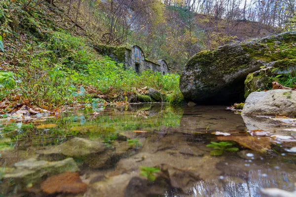 Přírodní Proud Vody Podzimním Lese Pozadí Prostorem Pro Kopírování Textu — Stock fotografie