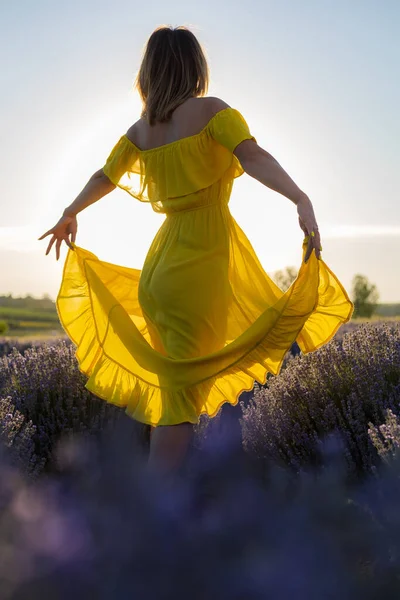 黄色のドレスを着た美しくきれいな若い女性がリラックスし 日没時にラベンダー畑で散歩を楽しんでいます バックビュー — ストック写真