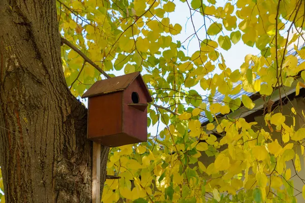 木造のバードハウスやバードフィーダー テキスト用のコピースペース付き秋の背景 — ストック写真
