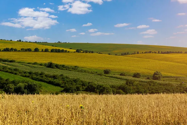 Die Hügelige Natur Osteuropas Mit Fruchtbaren Böden Für Die Landwirtschaft — Stockfoto