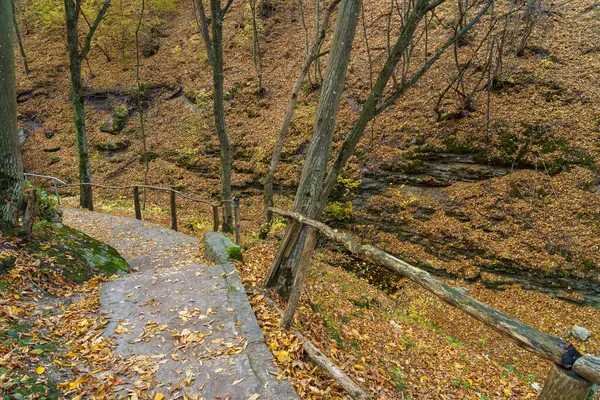 Sentiero Sentiero Escursionistico Natura Con Foresta Autunnale Sfondo Naturale Con — Foto Stock