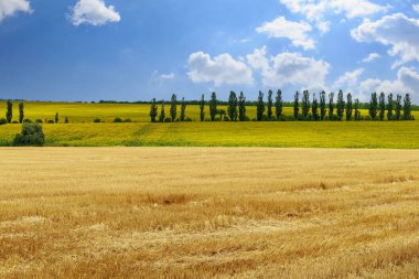 Doğu Avrupa doğası. Seçici odaklı sonsuz alanlar. Metin veya harf için kopyalama alanı olan peyzaj arkaplanı