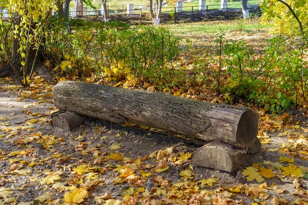 公园长椅是木制横梁做的 在旅游中休息一下吧 自然秋季背景 文本复制空间 — 图库照片