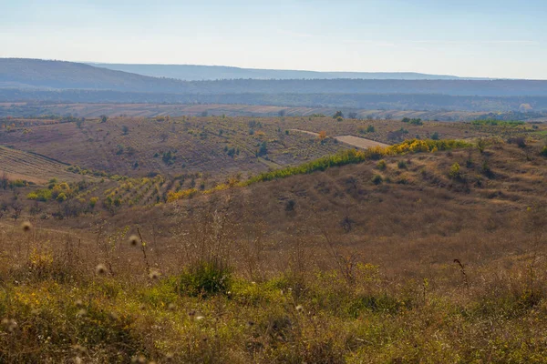 Heuvelachtige Velden Van Oost Europese Laagland Natuur Achtergrond Met Kopieerruimte — Stockfoto