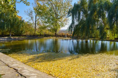Kırsalda korunmuş eski bir gölet. Metin için kopyalama alanı olan yapay doğa arkaplanı