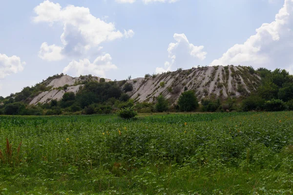 野生の石灰岩 天然石で美しい風景の背景 古代のサルマチア海の底 — ストック写真