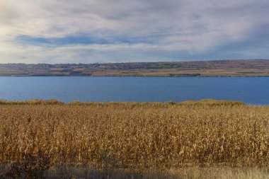 Göl ya da gölü olan bir sonbahar tarlası manzarası. Doğu Avrupa 'nın doğası. Metin veya yazıtlar için kopyalama alanı olan arkaplan.