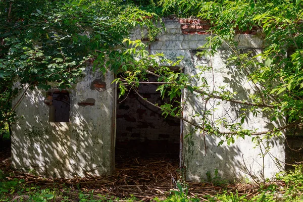 Ingang Van Een Geheime Vermomde Militaire Bunker Verlaten Schuilkelder Achtergrond — Stockfoto