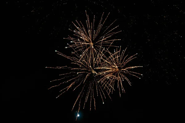 Sehr Schönes Feuerwerk Gegen Den Schwarzen Himmel Mit Kopierraum Für — Stockfoto