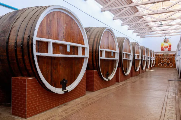 Huge Barrels Aging Elite Alcohol Illustrative Editorial October 2021 Balti — Stock Photo, Image