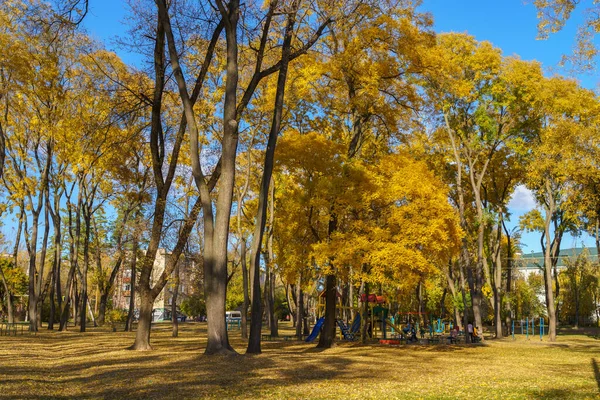 가을에는 공원으로 배경에 텍스트를 공간을 합니다 실례적 2021 몰도바 — 스톡 사진