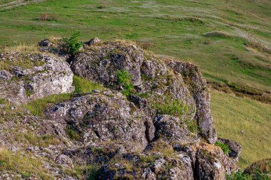Doğu Avrupa 'nın vahşi kayalık ve dağlık doğası. Metin için kopya alanı olan peyzaj arkaplanı. Seçici odaklanma, uyumlu. Coban ya da Cobani köyü, Moldova 'ya hoş geldiniz..