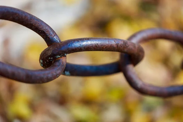 Närbild Kedja Länk Suddig Bakgrund Begreppsmässig Modern Symbol Kopiera Utrymme — Stockfoto