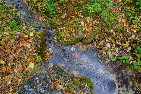 Horský Potok Podzimním Lese Pozadí Kopírovacím Prostorem Pro Text Nebo — Stock fotografie