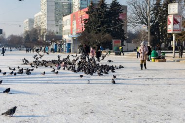 19 Ocak 2021 Balti veya Beltsy, Moldova 'nın soğuk kışı. İllüstrasyon Editörü