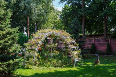 Saksıda çiçekler. İyi bir şehir çevresi için bahçe ve peyzaj tasarımı. Seçici odak arkaplanı ve metin veya harf için kopyalama alanı