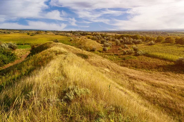 Natura Collinare Dell Europa Orientale Sfondo Con Spazio Copia Testo — Foto Stock