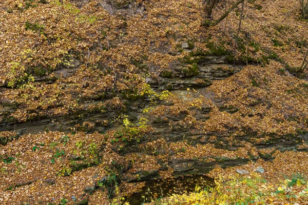 Herfstbos Het Wild Argilische Minerale Rotsachtige Grond Achtergrond Met Kopieerruimte — Stockfoto