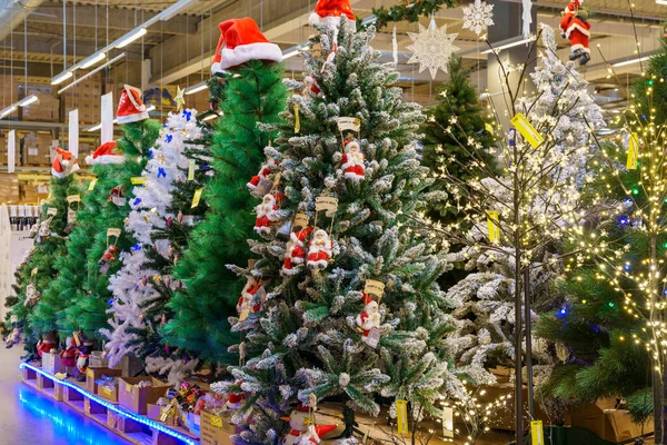 Τεχνητά Χριστουγεννιάτικα Δέντρα Και Σύμβολα Του Νέου Έτους Στο Κατάστημα — Φωτογραφία Αρχείου