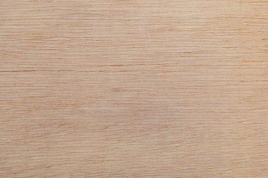 Afrika 'daki bir ağacın açık dokulu kesik yüzeyi. Ahşap zemin ya da tasarım için boş. Metin veya etiketler için bir grafik kaynağı ya da altında yatan.