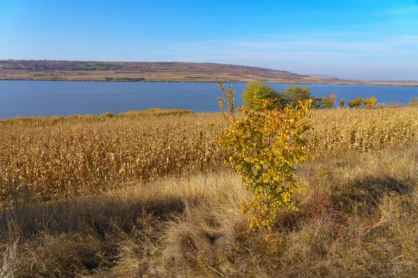 Άποψη Ενός Φθινοπωρινού Αγρού Λίμνη Λίμνη Φύση Της Ανατολικής Ευρώπης — Φωτογραφία Αρχείου