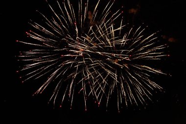 Kara gökyüzüne karşı çok güzel havai fişekler. Metin ve yazıtlar için kopyalama alanı var. Tasarım için grafik bir kaynak. Tasarımcı için boş. Altını çiz ya da altını.