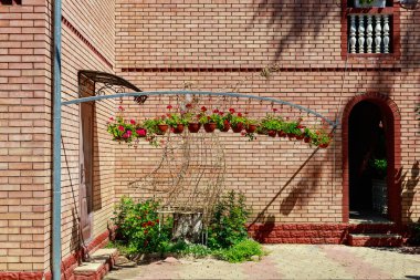 Saksıda çiçekler. İyi bir şehir çevresi için bahçe ve peyzaj tasarımı. Seçici odak arkaplanı ve metin veya harf için kopyalama alanı