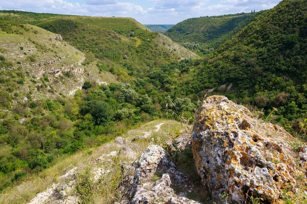 Doğu Avrupa 'nın dağlık doğası. Metin veya yazıtlar için kopyalama alanı olan arkaplan