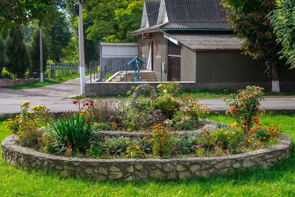 Şehrin kentsel ortamında çok güzel bir çiçek tarhı. Manzara tasarımında çiçekler ve yeşillik. Metin veya yazıtlar için kopyalama alanı olan arkaplan.