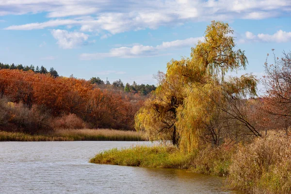 Altın sonbahar boyunca bir rezervuarla sonbahar manzarası. Metin veya harf için kopyalama alanı olan doğa arkaplanı.