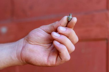 Elin parmakları arabanın tekerleğinin meme ucu kapağını tutuyor. Lastiklere karşı hava kaçağı koruması. Seçici odaklı tonlanmış arkaplan ve metin veya harf için alanı kopyala.