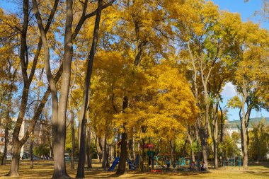 Altın sonbahar döneminde şehir parkı. Metin için kopyalama alanı olan arkaplan. İllüstrasyon başyazısı. 23 Ekim 2021 Balti Moldova.