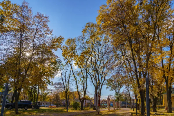 Stadtpark Goldenen Herbst Hintergrund Mit Kopierraum Für Text Illustratives Leitartikel — Stockfoto