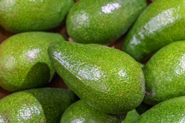 Taze avokado meyveleri. Metin veya yazıtlar için kopyalama alanı olan arkaplan.